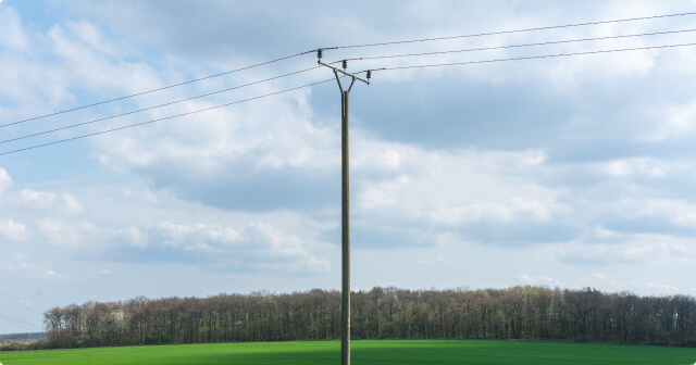 Ein Strommast aus Holz auf einer grünen Wiese in der nähe eines Waldes.