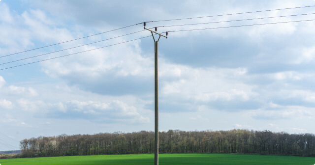 Un poteau électrique en bois dans un pré vert près d'une forêt.