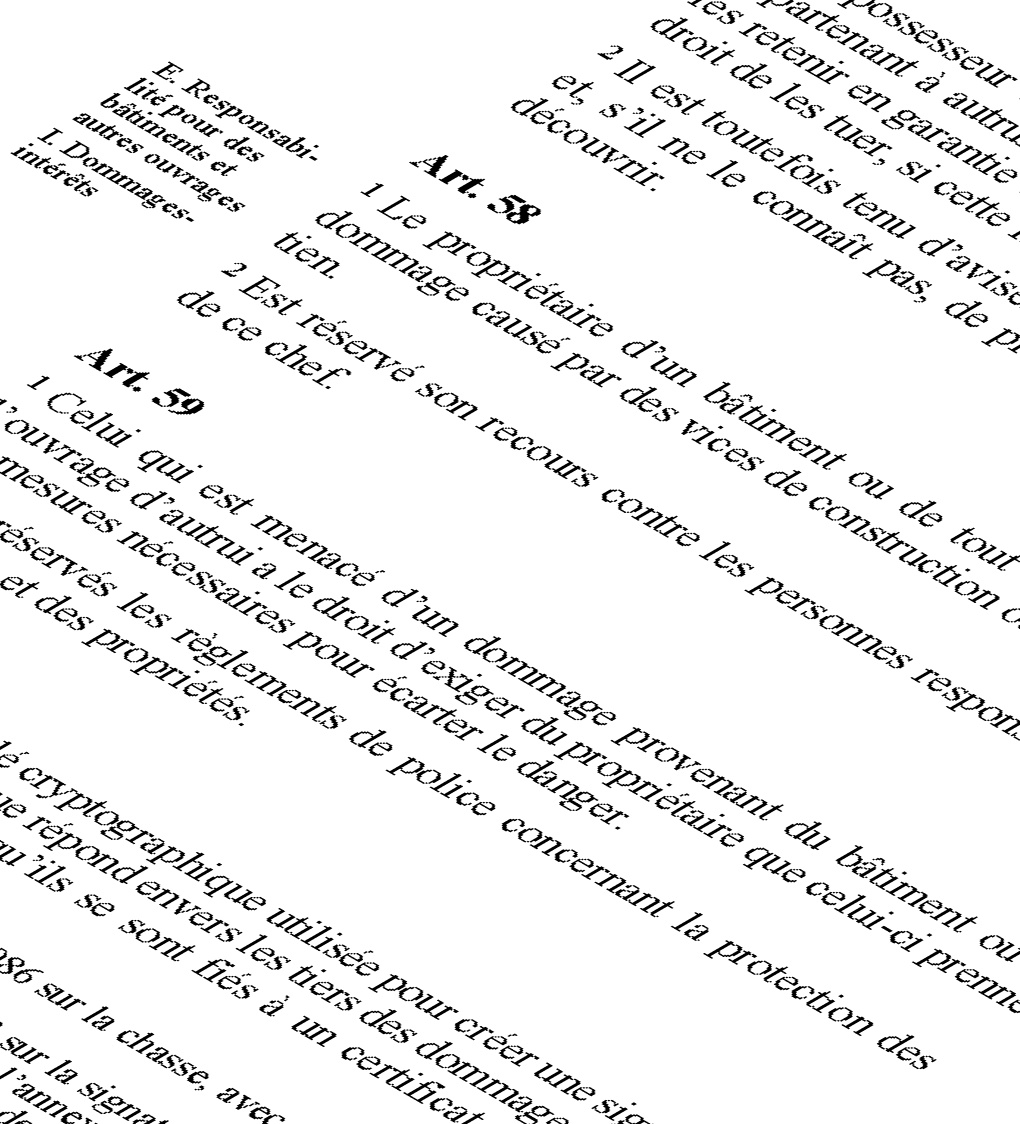 Illustration d'un article de loi